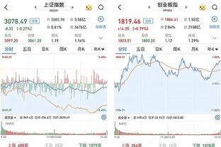 开云vip登录入口官网截图0